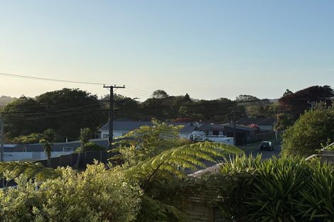 Photo of property in 293 Tukapa Street, Hurdon, New Plymouth, 4310