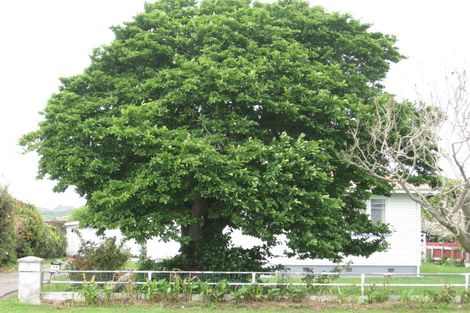 Photo of property in 64 Stewart Street, Opotiki, 3122
