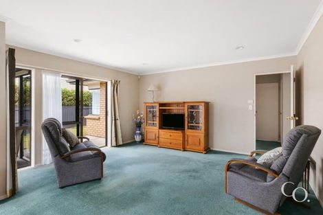 Photo of property in 37 Solomon Street, Brookfield, Tauranga, 3110