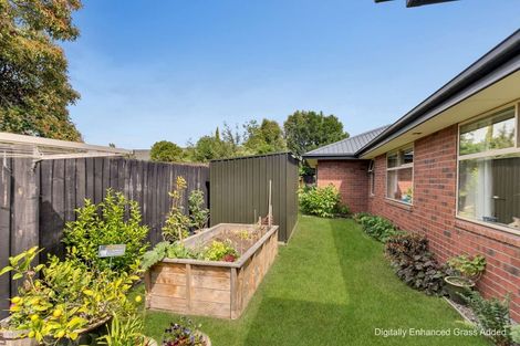 Photo of property in 2b Bank Street, Amberley, 7410