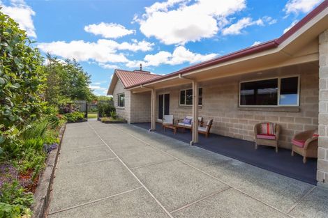 Photo of property in 55 Harris Street, Pleasant Point, 7903