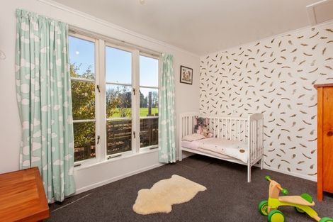 Photo of property in 17 Station Road, Matamata, 3400