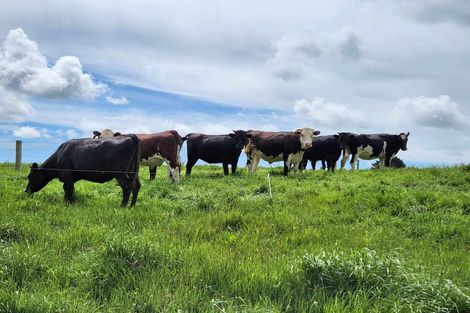 Photo of property in 697 Maungatawhiri Road, Raglan, 3295