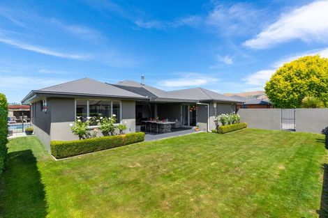 Photo of property in 12 Puketea Place, Redwoodtown, Blenheim, 7201