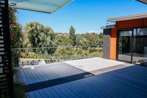 Photo of property in 33 Hillsborough Terrace, Hamilton Central, Hamilton, 3204