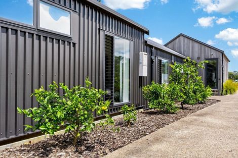 Photo of property in 138 Estuary Drive, Mangawhai Heads, Mangawhai, 0505