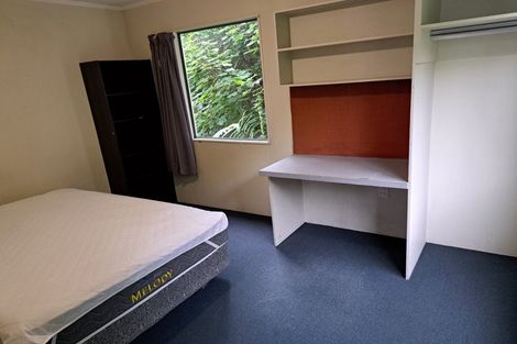 Photo of property in 63 Opoho Road, North East Valley, Dunedin, 9010