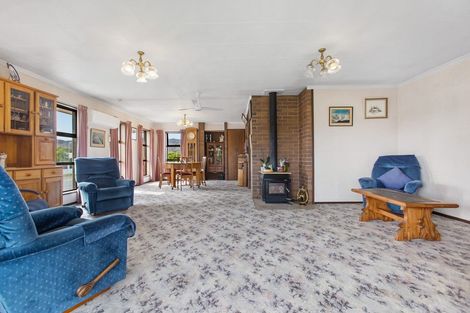 Photo of property in 68 Bringans Street, Alexandra, 9320