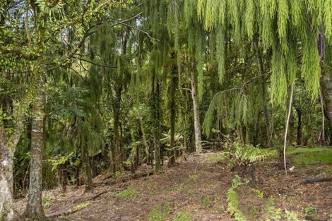 Photo of property in 245 Mangatoi Road, Oropi, Tauranga, 3173