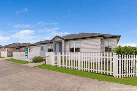 Photo of property in 291 Victoria Street West, Pukekohe, 2120