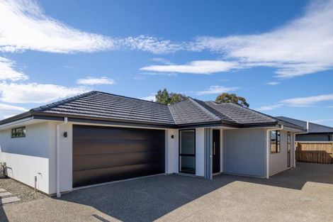 Photo of property in 20 Lotus Street, Appleby, Richmond, 7020