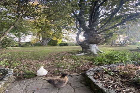 Photo of property in 79 Hone Heke Road, Kerikeri, 0230