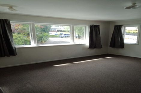 Photo of property in 4 Ohaupo Road, Hamilton Lake, Hamilton, 3204