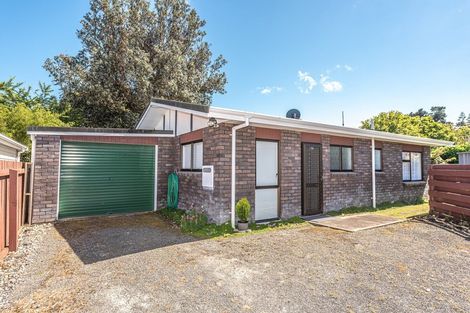 Photo of property in 17a Downes Avenue, Springvale, Whanganui, 4501