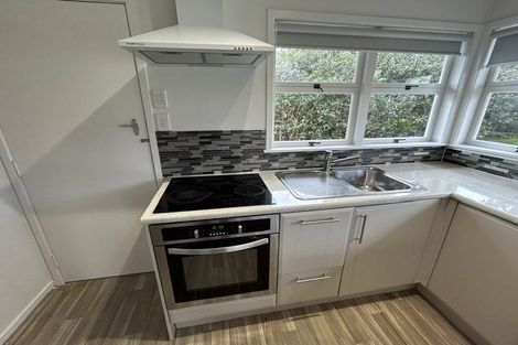 Photo of property in 1/29 Eban Avenue, Hillcrest, Auckland, 0627