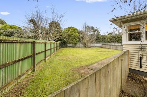 Photo of property in 19 Hobson Street, Levin, 5510