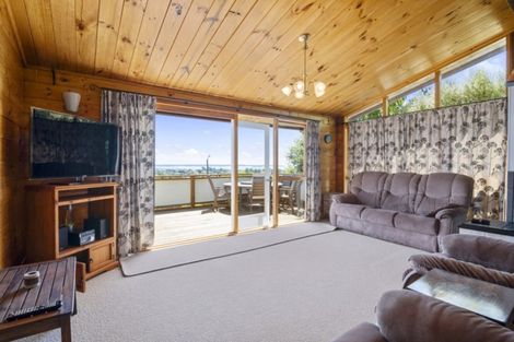 Photo of property in 45 Marlborough Crescent, Richmond, 7020