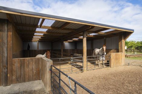 Photo of property in 36 Bell Road, Matawhero, Gisborne, 4071