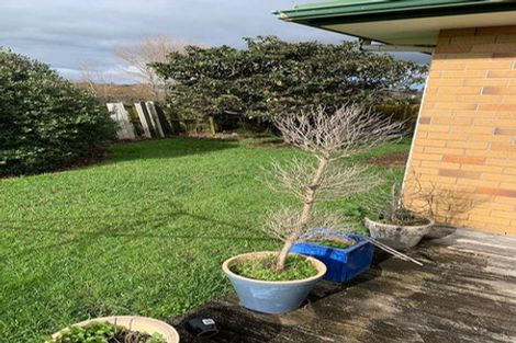 Photo of property in 197 Te Irirangi Drive, Flat Bush, Auckland, 2019