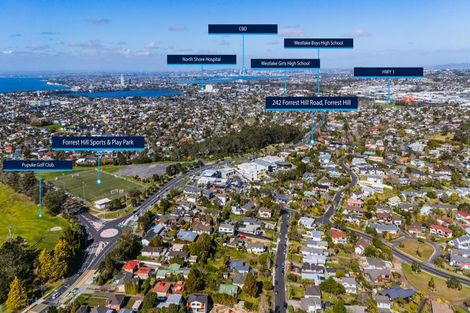 Photo of property in 242 Forrest Hill Road, Forrest Hill, Auckland, 0620
