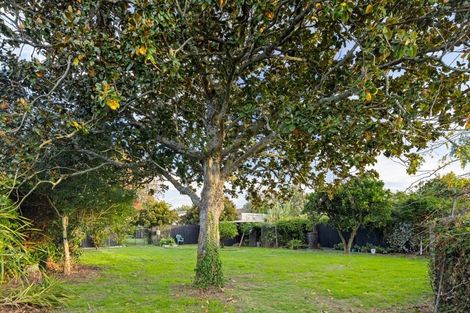 Photo of property in 85 East Street, Enderley, Hamilton, 3214