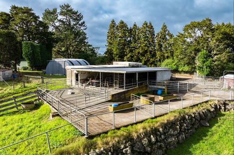 Photo of property in 348 Tauraroa Road, Maungakaramea, 0178