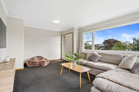 Photo of property in 8 Marlborough Crescent, Richmond, 7020