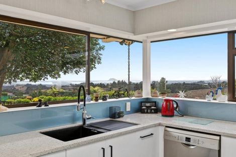 Photo of property in 649a Esdaile Road, Whakamarama, Tauranga, 3180