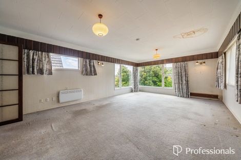 Photo of property in 66 Hay Street, Naenae, Lower Hutt, 5011