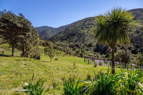 Photo of property in 91 Boar Bush Gully Road, Featherston, 5710