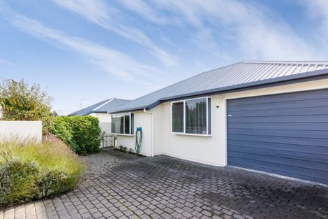 Photo of property in 76 Arthur Street, Blenheim, 7201