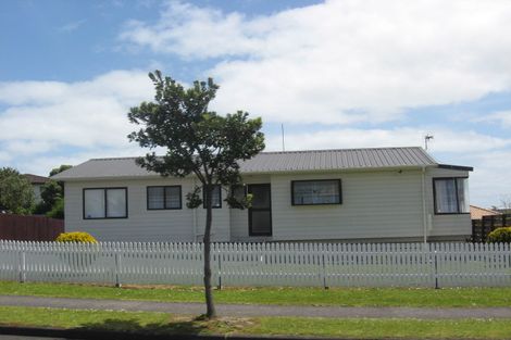 Photo of property in 191 Finlayson Avenue, Clendon Park, Auckland, 2103