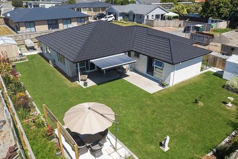 Photo of property in 29 Cobb Place, Otaki, 5512