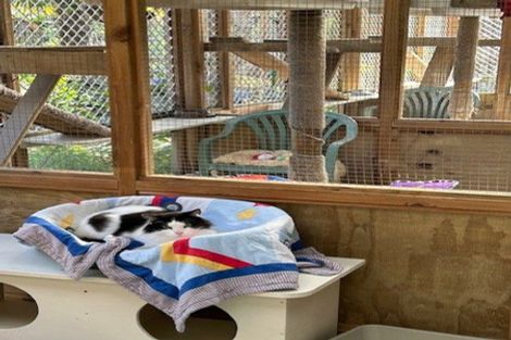 Photo of property in 105 Kapiro Road, Kerikeri, 0294