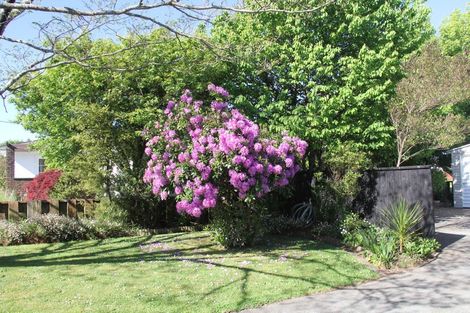 Photo of property in 46 Totara Street, Lansdowne, Masterton, 5810