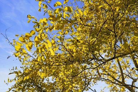 Photo of property in 91 Travers Road, Te Kauwhata, 3782