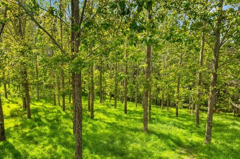 Photo of property in 63 Morgan Road, Titoki, Whangarei, 0172