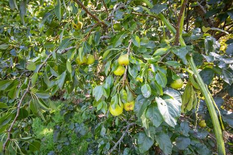 Photo of property in 531 Milner Road, Glen Oroua, Palmerston North, 4473