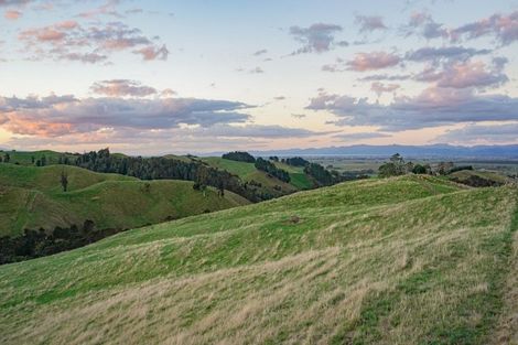 Photo of property in 169 Torehape Road, Kaihere, Ngatea, 3597