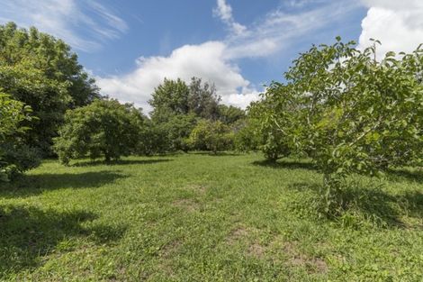 Photo of property in 118a Prole Road, Omokoroa, Tauranga, 3172