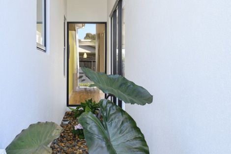 Photo of property in 12 Jacob Street, Brookfield, Tauranga, 3110