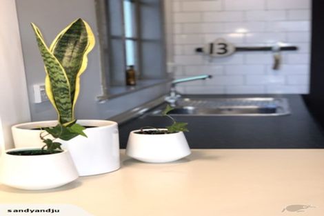 Photo of property in 5 The Rise, Mount Pleasant, Christchurch, 8081