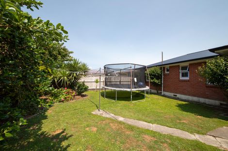 Photo of property in 8 Austin Place, Awapuni, Palmerston North, 4412