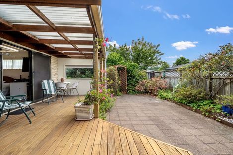 Photo of property in 50 Highfields Drive, Katikati, 3129