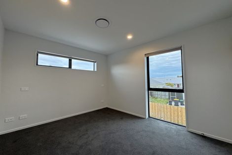 Photo of property in 1/474 Barrington Street, Addington, Christchurch, 8024