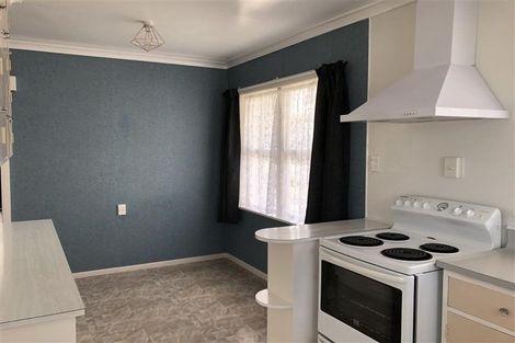 Photo of property in 53 Bath Street, Levin, 5510