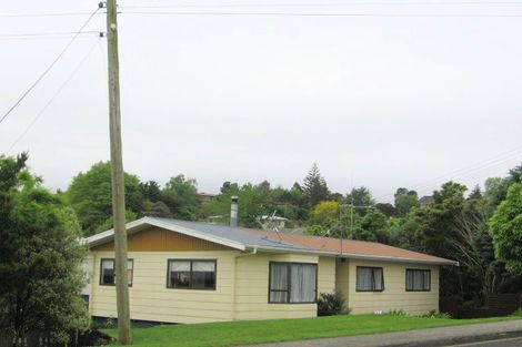 Photo of property in 40 Willoughby Street, Paeroa, 3600