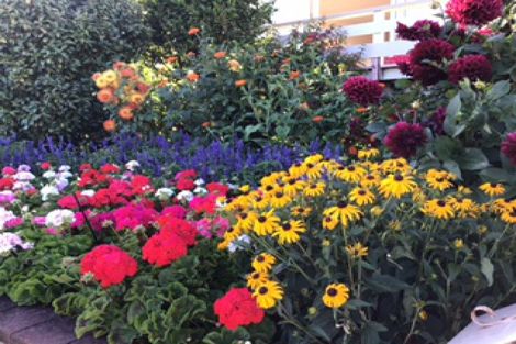 Photo of property in 63 Birch Street, Hilltop, Taupo, 3330