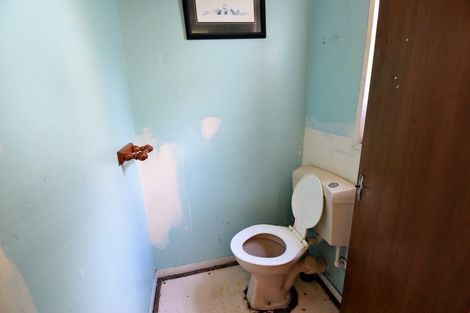 Photo of property in 13 Henderson Street, Mornington, Dunedin, 9011