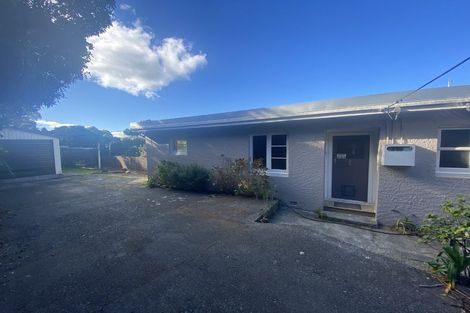 Photo of property in 161 The Ridgeway, Mornington, Wellington, 6021